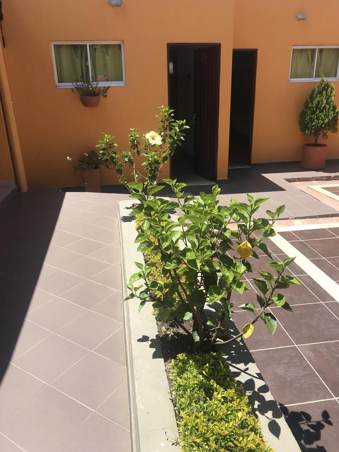 Hostal El Hangar Rionegro Eksteriør bilde